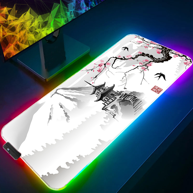 Lumière LED RGB tapis de souri - Pc Gaming Dragon avis et prix